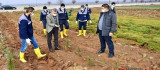 Başkan Çınar, Tarımsal Üretim Ve Ar-Ge Sahasında'ki Çalışmaları İnceledi