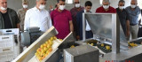Vali Baruş 'Kayısı Boylama Makinesi' Hibe Programına Katıldı