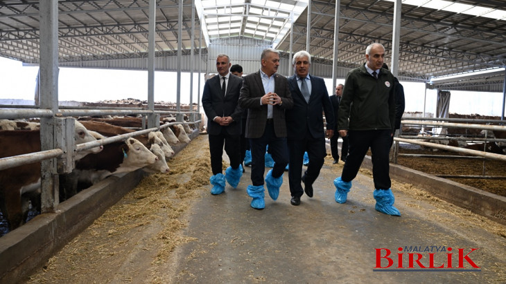 Vali Ersin Yazıcı'dan Battalgazi İlçesindeki Çiftliklere Ziyaret