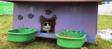 Yeşilyurt Belediyesi, Sokak Hayvanları İçin 'Kedi Ve Köpek Evleri' Projesi